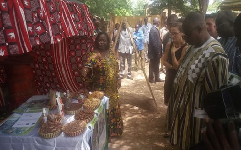 Le comité de pilotage s’imprègne des réalisations du PFNL2 au Burkina Faso