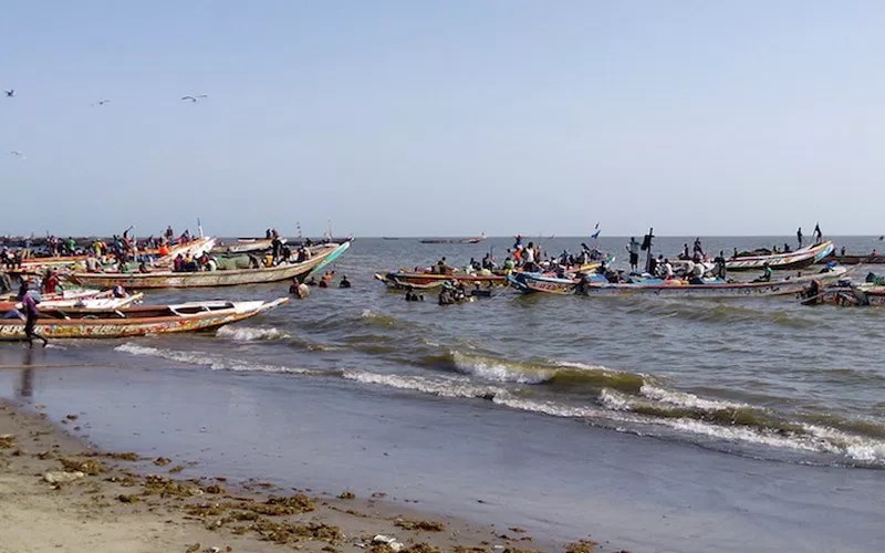 Samba Guèye plaide pour « une pêche artisanale durable » au Sénégal