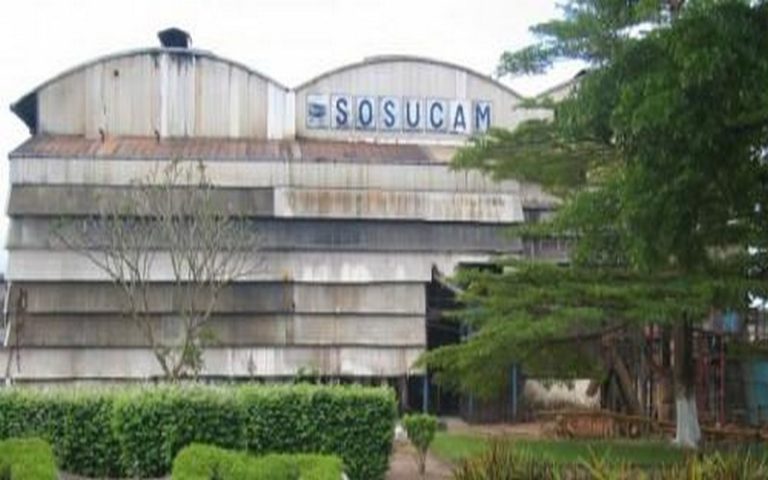 Vers l’arrêt des activités de Sosucam Cameroun