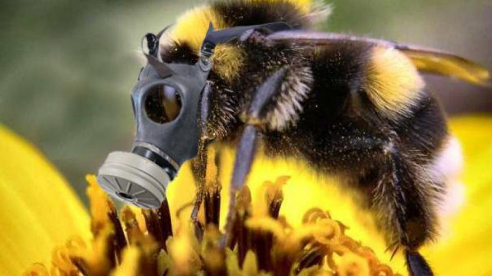 L’UE vers l’interdiction totale des pesticides tueurs d’abeilles!