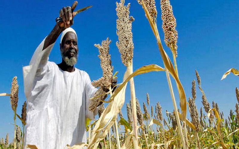 L’agritech, un concept visant à bouleverser l’agriculture africaine
