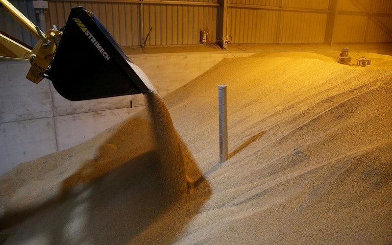 Afrique subsaharienne : hausse de plus 17% de commerce du blé en un an