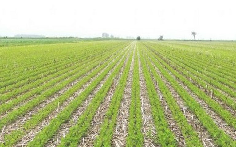 Miser sur l&rsquo;agriculture de conservation pour endiguer le changement climatique