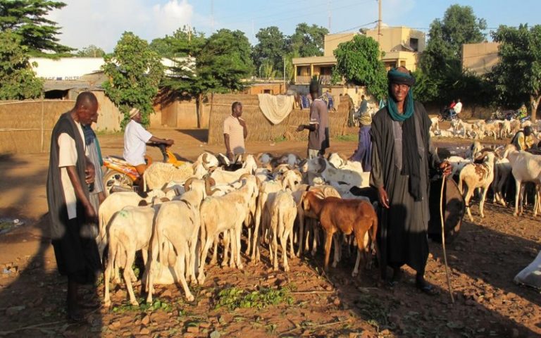 Les bergers Peuls maliens soutenus par le gouvernement