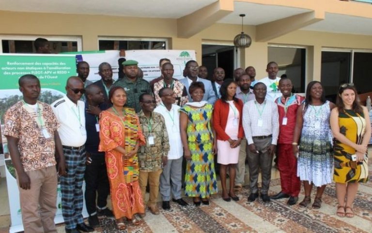 Côte d’Ivoire : les capacités de la société civile et des PME forestières renforcées