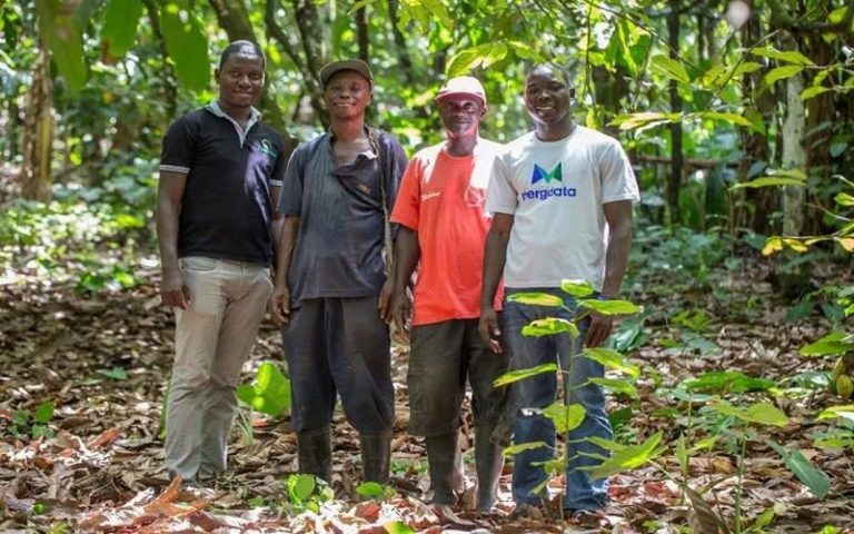 Un nouveau pacte agricole axé sur l’emploi des jeunes en Afrique, évoqué au Maroc