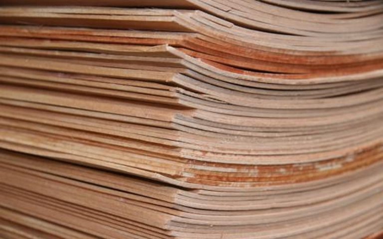 Producteurs de bois tropicaux : le Gabon, leader en Afrique