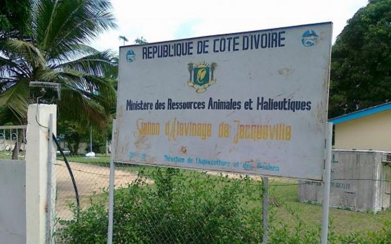 La Côte d’Ivoire vise la relance des productions animales et halieutiques