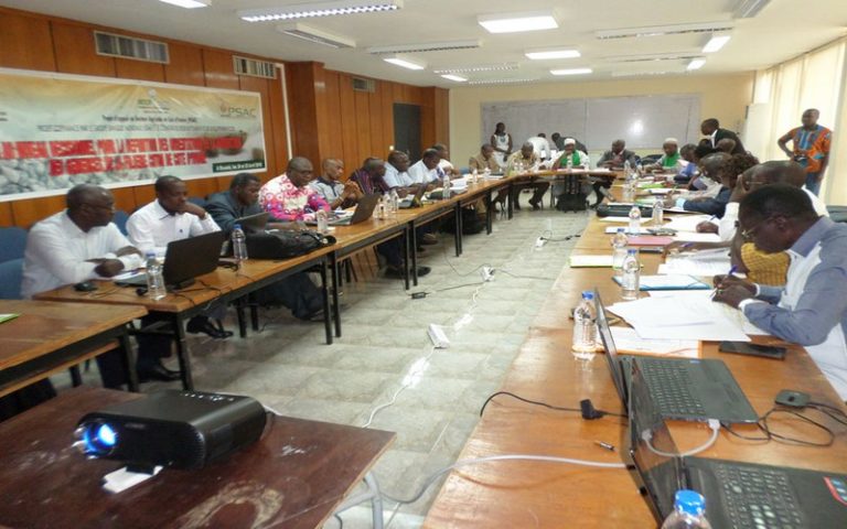 La Côte d’Ivoire se penche sur la production de semences de coton