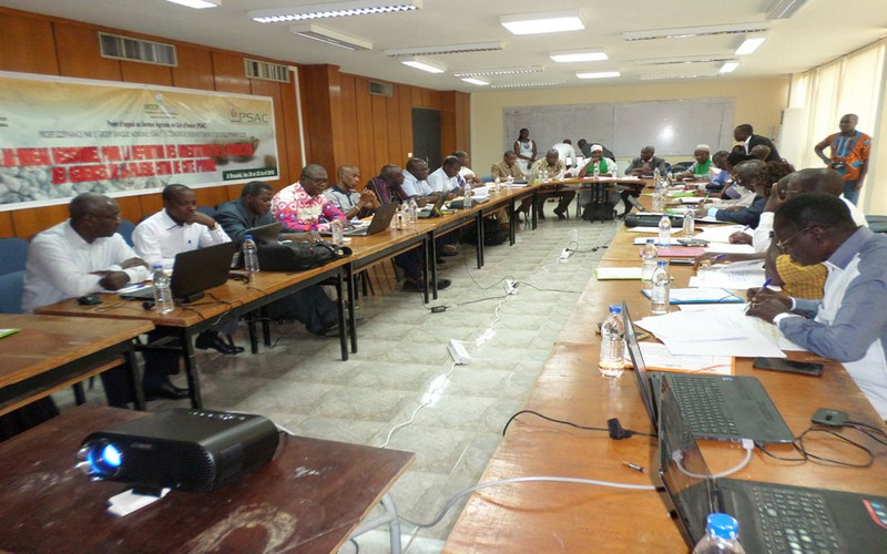 La Côte d’Ivoire se penche sur la production de semences de coton