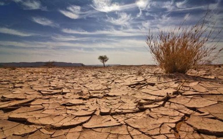 Le Tchad va accueillir la 16ème conférence des chefs d’Etats du CILSS