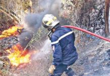 L’Algérie initie des caravanes de sensibilisation contre les feux de forêts