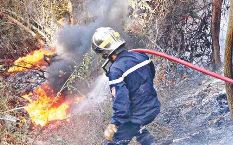 L’Algérie initie des caravanes de sensibilisation contre les feux de forêts