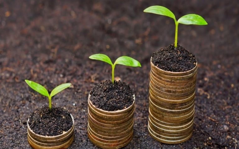 Le financement des énergies renouvelables, un souhait pour l’Afrique