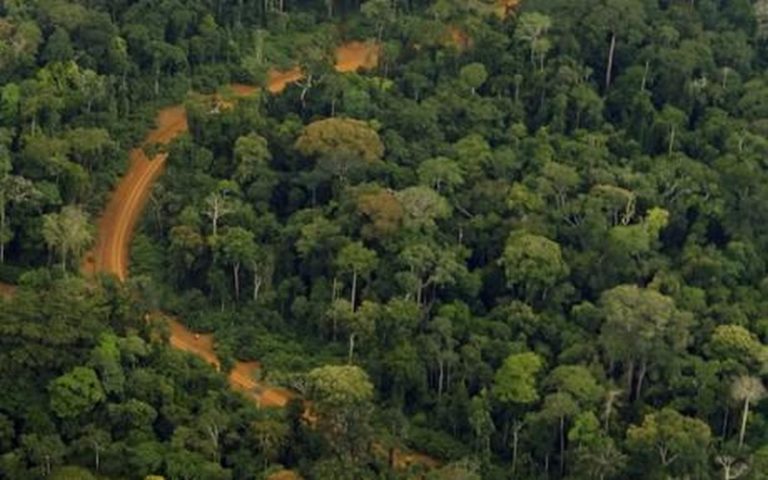 Vers l’amélioration de la gestion des espaces forestiers aux Seychelles