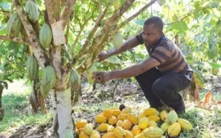 Côte d’Ivoire : La bagatelle d’un milliard d’euros pour restaurer ses forêts (Alain-Richard Donwahi)