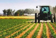 L’Algérie abandonne la concession des terres agricoles aux étrangers