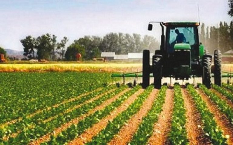 L’Algérie abandonne la concession des terres agricoles aux étrangers