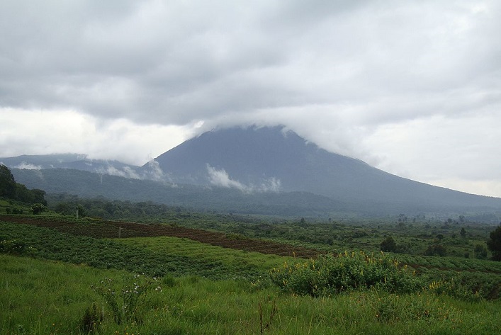 Exploitation pétrolière : la RDC vers la déclassification de zones protégées de deux parcs naturels