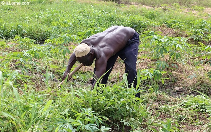 Afrique : l’USAID salue la saison des pluies et de bonnes perspectives