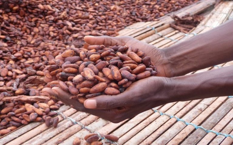 La Côte d&rsquo;Ivoire veut mettre fin à la contrebande des produits agricoles