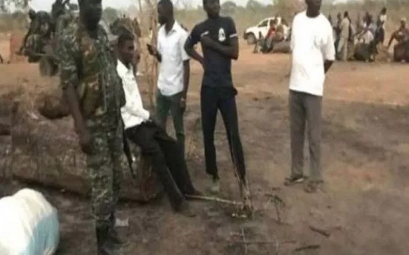 Trafic de bois : la Gambie accorde un droit de poursuite au Sénégal