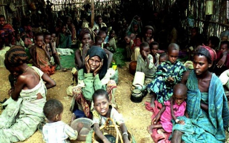 Trois agences de l’ONU alertent sur la famine au Sahel