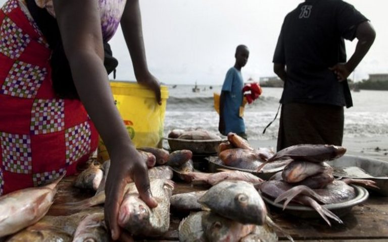 L’Angola compte miser sur la pêche pour éradiquer la « pétro-dépendance »