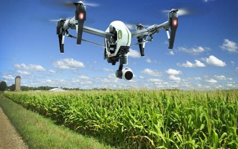 Digitalisation de l’agriculture en Afrique : Techno Brain et Microsoft s’allient