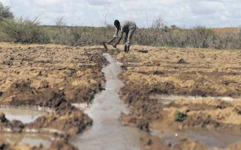 La Banque mondiale finance un projet d’irrigation au Sahel