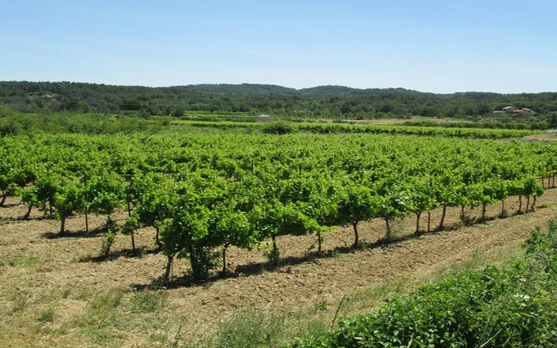 Sénégal : la reconversion de Bélal Altiné Sow, ancien « modou modou »