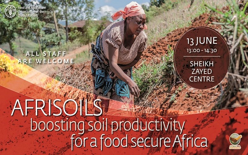 FAO se dote d’un programme visant à booster la productivité des sols africains