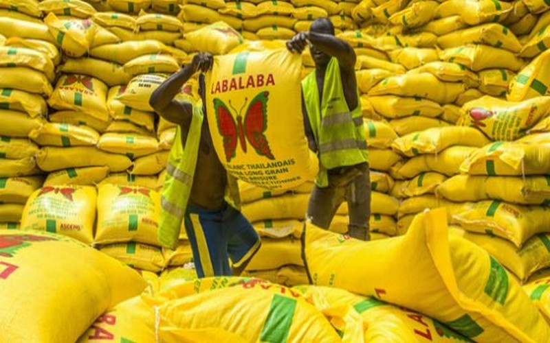 Importation du riz : l’Afrique dépense sept milliards de dollars par an