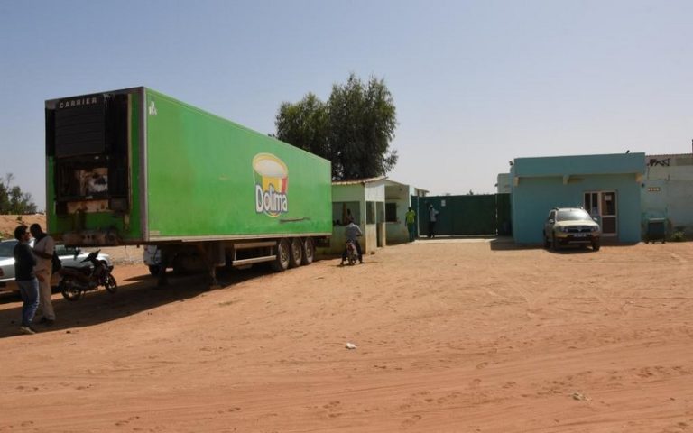 La «Laiterie du Berger»: un exemple de valorisation du lait au Sénégal