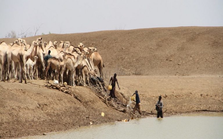 Le Sénégal et Cabo Verde parmi les pays en quête de besoin d’une aide alimentaire externe