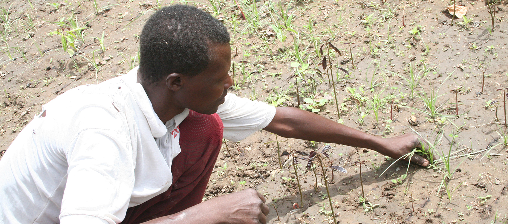 Technologies intelligentes face au climat : Le Tchad fait appel au CORAF