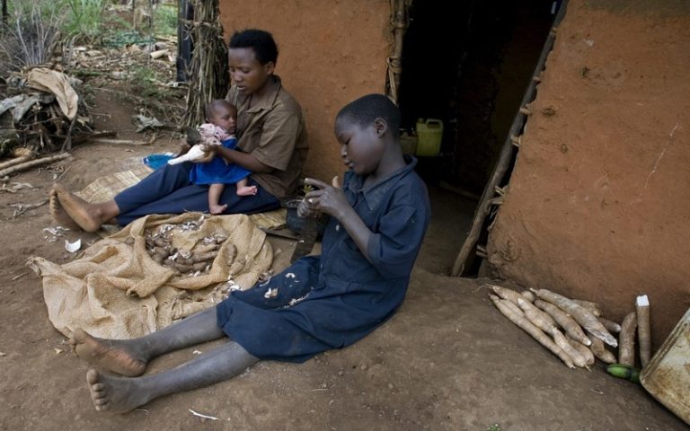 La FAO et Rabobank volent au secours des petits agriculteurs africains