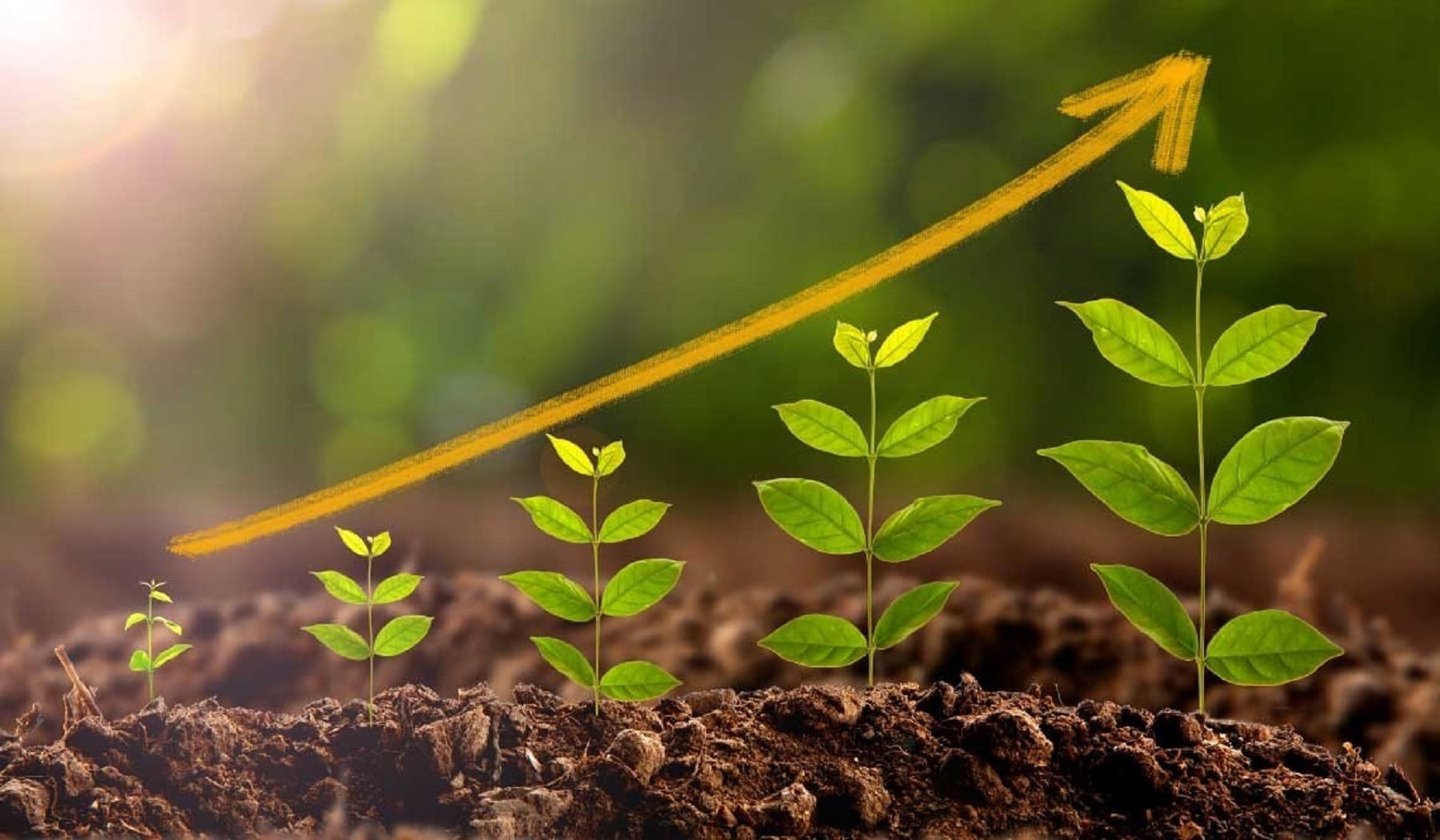 Changement climatique : Le Congo Brazzaville sera un des récipiendaires de l’AFD