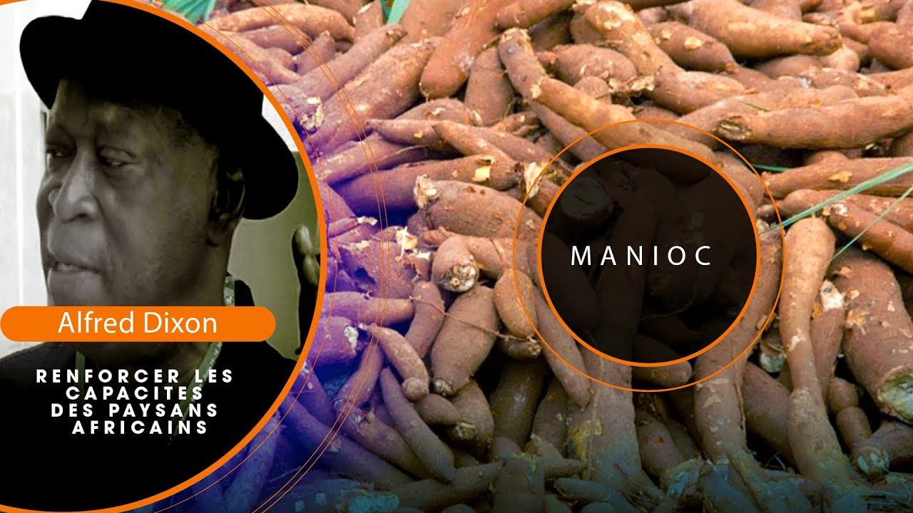 Alfred Dixon : « Renforcer les capacités des agriculteurs africains »