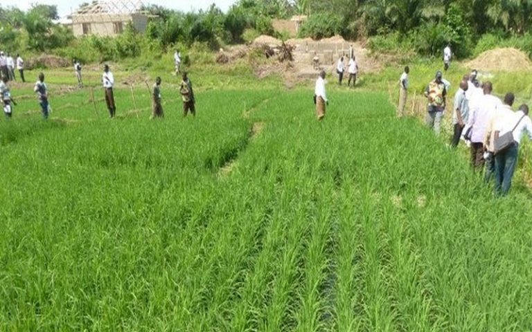 Le Togo, le Bénin et le Burkina Faso mise sur la phase 2 du TFTC pour renforcer leur résilience au changement climatique