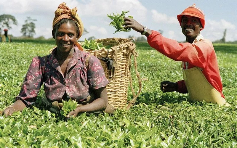 FED finance l’agriculture nigérienne à hauteur de 20 millions €