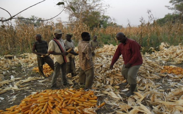 L&rsquo;Afrique capacitée au Bénin sur les défis de la sécurité alimentaire
