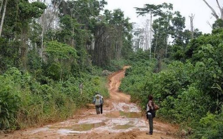 La Banque mondiale au chevet de la « gestion sous régionale » des forêts