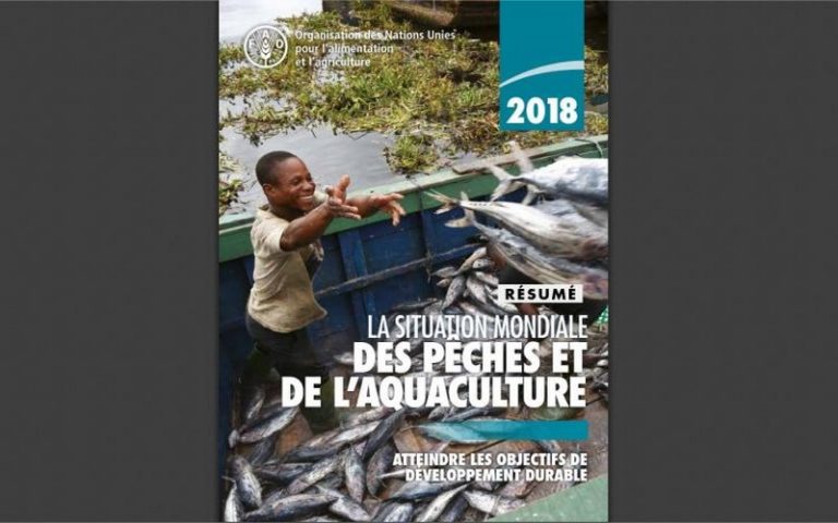 La situation mondiale des pêches et de l&rsquo;aquaculture