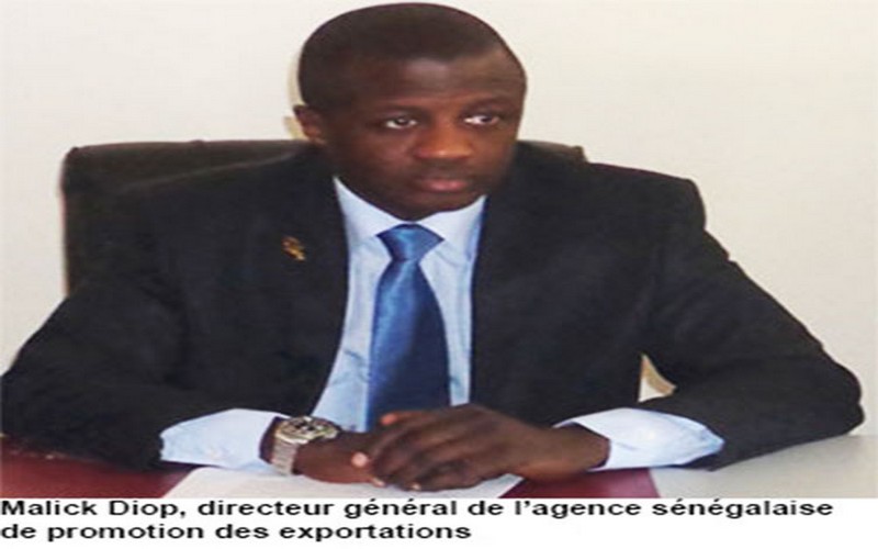 Malick Diop dément l’interdiction de la mangue sénégalaise dans l’UE et précise