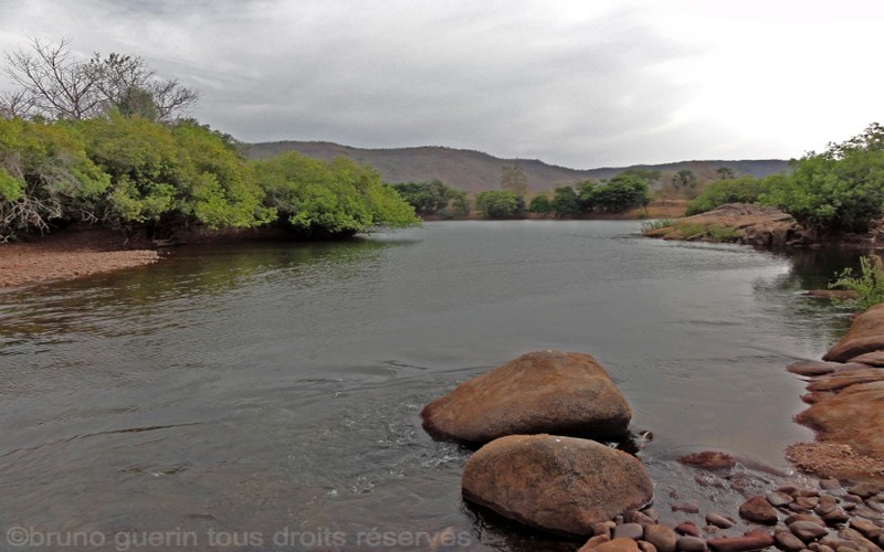 Tarissement du fleuve Gambie à Kédougou : l’association « Alerte » tire la sonnette d’alarme