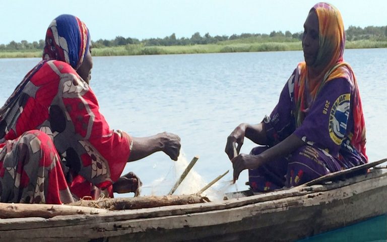 Changement climatique : Margot Wallström au chevet du Tchad et du Niger