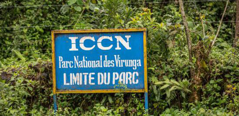 RDC : Du pétrole sera exploité dans les parcs naturels des Virunga et de la Salonga