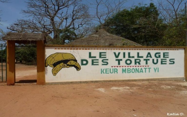 Sénégal : Racine Diallo plaide pour le renforcement des moyens du village des tortues