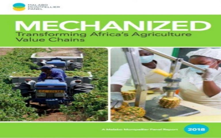 L’Afrique invitée à gagner son pari agricole